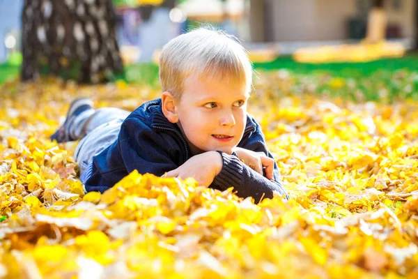 Retrato Menino Parque Outono — Fotografia de Stock