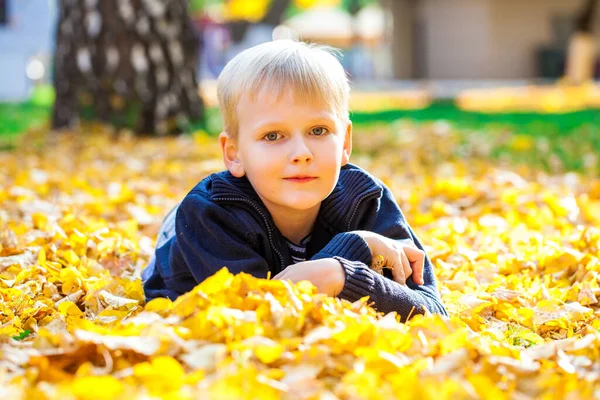 Sonbahar Parkında Küçük Bir Çocuğun Portresi — Stok fotoğraf