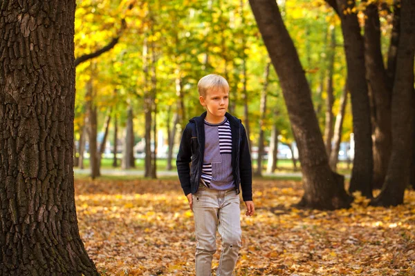 Portrait Little Boy Autumn Park — Stock Photo, Image