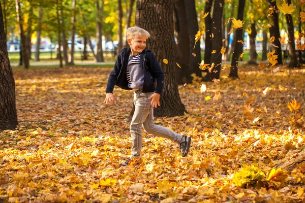 Retrato Menino Parque Outono — Fotografia de Stock