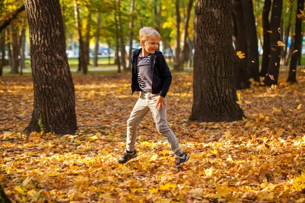 秋の公園で男の子の肖像画 — ストック写真