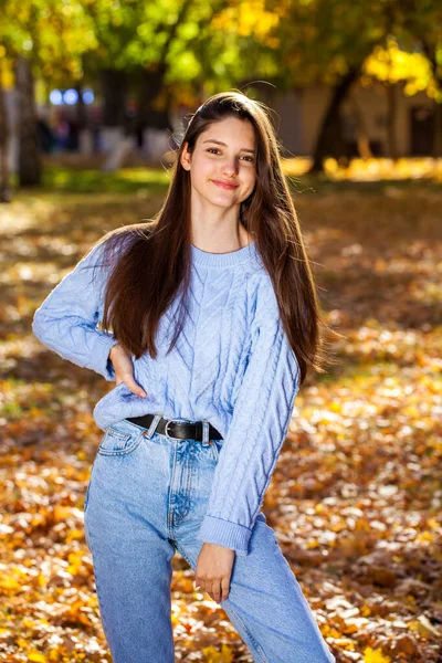 Retrato Cerca Una Joven Suéter Azul Parque Otoño Aire Libre —  Fotos de Stock