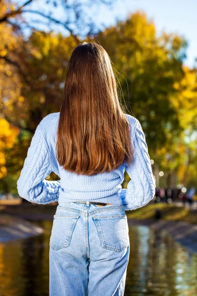 Longue Belle Vue Arrière Des Cheveux Féminins Sur Fond Parc — Photo