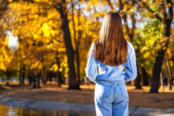 Lange Schöne Weibliche Haare Rückseite Vor Dem Hintergrund Eines Herbstlichen — Stockfoto