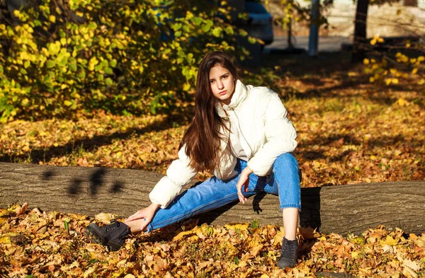 Açık havada sonbahar parkında kot pantolon giymiş güzel bir esmer kızın vücut portresi.