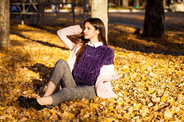 穿着紫色毛衣的年轻漂亮的姑娘躺在秋天落叶上 — 图库照片