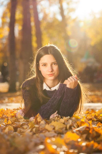 Mor Kazaklı Güzel Bir Kız Düşen Sonbahar Yapraklarının Üzerinde Yatıyor — Stok fotoğraf