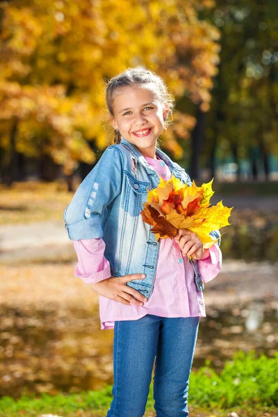 Ritratto Una Giovane Ragazza Parco Autunnale — Foto Stock