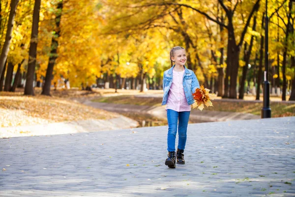 Retrato Una Niña Parque Otoño — Foto de Stock