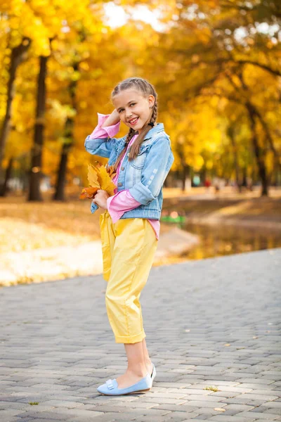 Ritratto Una Giovane Ragazza Parco Autunnale — Foto Stock