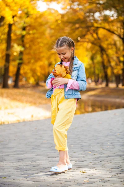 秋日公园里一个小女孩的画像 — 图库照片