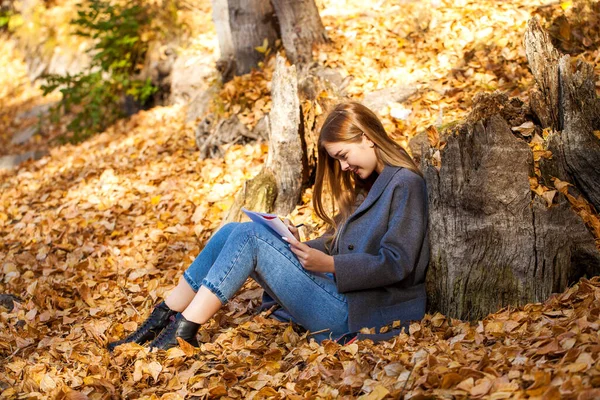 Young Blonde Woman Draws Album While Sitting Autumn Park — ストック写真