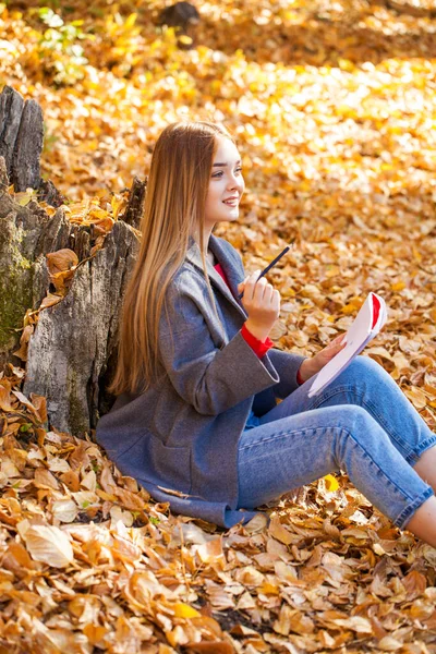 Giovane Donna Bionda Disegna Album Mentre Seduto Nel Parco Autunnale — Foto Stock