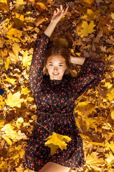 Horní Pohled Portrét Krásné Mladé Ženy Pozadí Podzimního Žlutého Listí — Stock fotografie