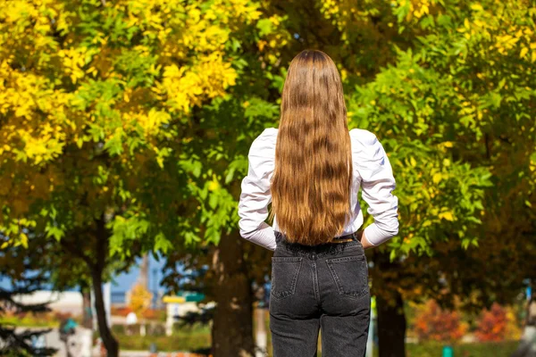 Visão Traseira Cabelo Feminina Bonita Longa Contra Fundo Parque Outono — Fotografia de Stock