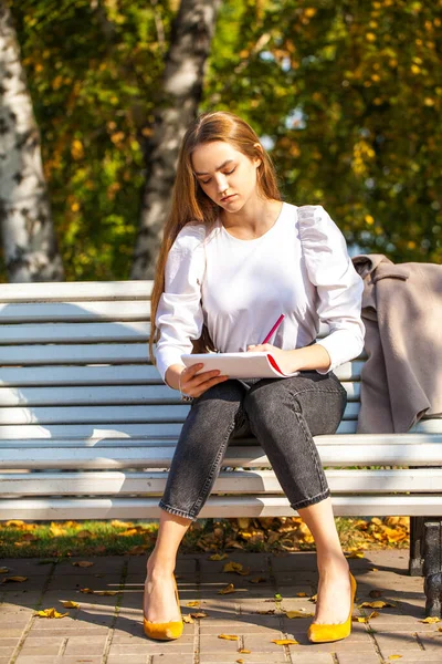 若いです美しいです女の子は秋の公園に座っている間スケッチブックに鉛筆で描きます — ストック写真