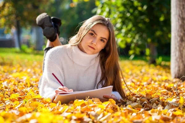 在秋天的公园里 一个年轻漂亮的姑娘用铅笔在素描本上画画 — 图库照片