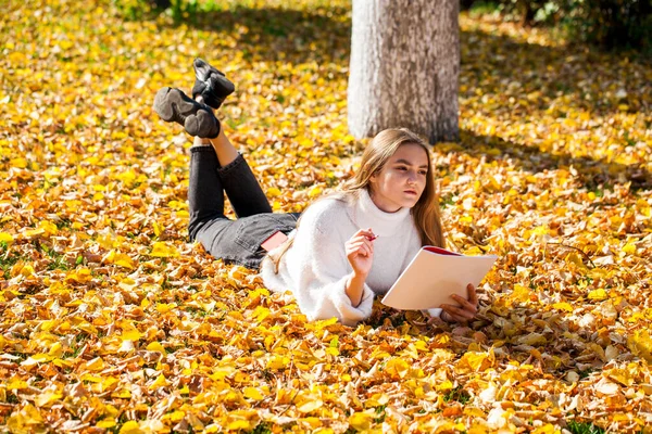 Menina Bonita Nova Desenha Com Lápis Caderno Esboços Parque Outono — Fotografia de Stock