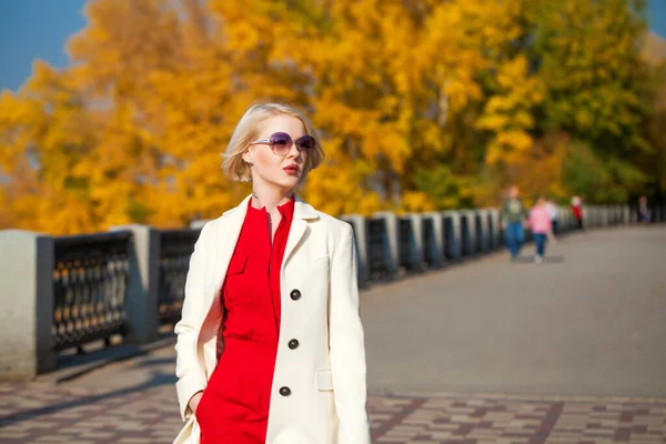 Tineri Frumos Blonda Femeie Într Haină Bej Plimbări Parc Toamnă — Fotografie, imagine de stoc