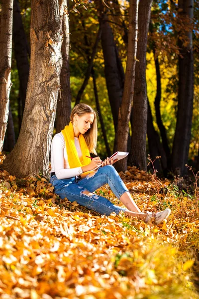 Young Beautiful Girl Draws Pencil Sketchbook Autumn Park — Stock Photo, Image