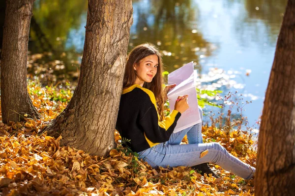 Giovane Bella Ragazza Disegna Con Una Matita Nel Sketchbook Nel — Foto Stock