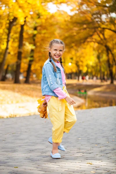 Portretul Unei Tinere Fete Într Parc Toamnă — Fotografie, imagine de stoc