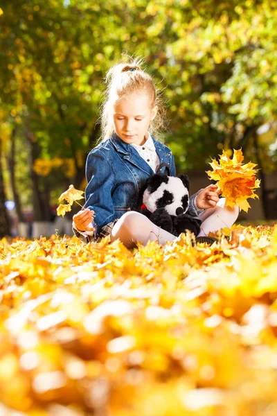 Portret Van Een Jong Meisje Een Herfstpark — Stockfoto