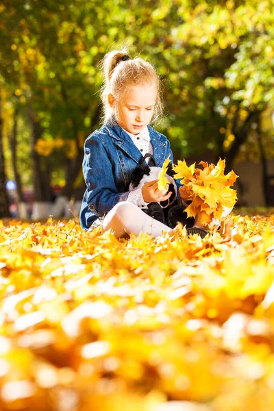 Ritratto Una Giovane Ragazza Parco Autunnale — Foto Stock