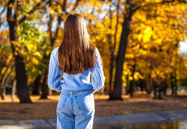 Длинные Красивые Женские Волосы Заднем Плане Фоне Осеннего Парка — стоковое фото
