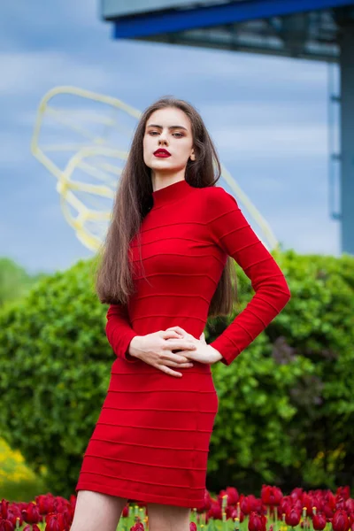 Retrato Cerca Una Joven Morena Hermosa Vestido Rojo Posando Sobre — Foto de Stock