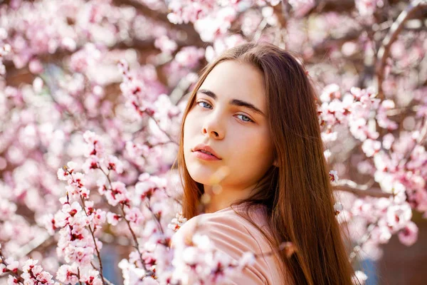 美丽的少女在樱桃树旁摆弄着粉红色的花朵 — 图库照片