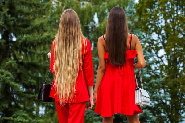 Zwei Junge Mädchen Blond Und Brünett Rückansicht — Stockfoto