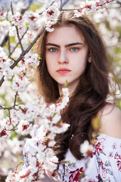 Menina Bonita Adolescente Estão Posando Jardim Perto Árvore Cereja Flor — Fotografia de Stock