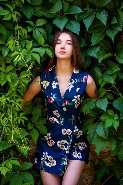 Nastolatka Dziewczyna Niebieskie Kwiaty Sukienka Zielonym Tle Bluszcz — Zdjęcie stockowe