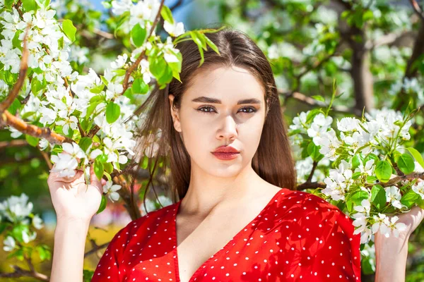 Retrato Cerca Una Joven Morena Vestida Rojo Sobre Fondo Cereza — Foto de Stock