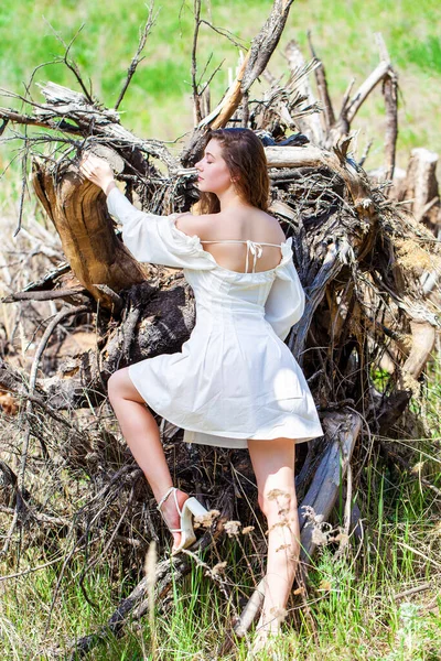 在一棵倒下的树上 一个身穿白色连衣裙的年轻漂亮姑娘的全长画像 — 图库照片