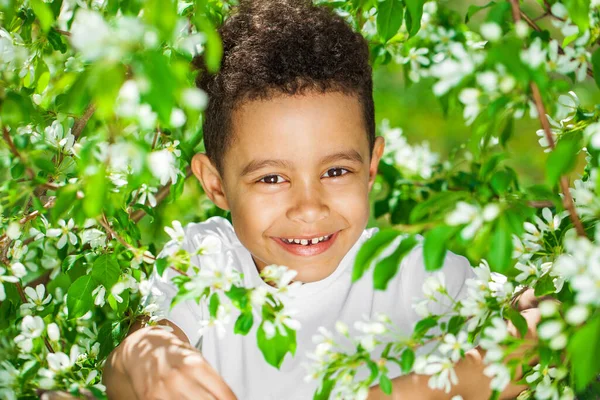 Five Year Old Little Boy Summer Park — Stock Photo, Image