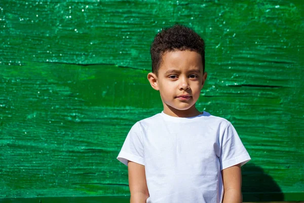 Five Year Old Little Boy Summer Park — Stock Photo, Image