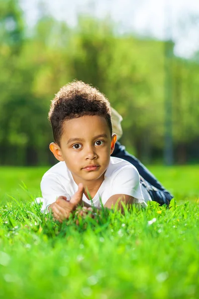 Niño Cinco Años Yace Sobre Hierba Verde Parque Verano —  Fotos de Stock