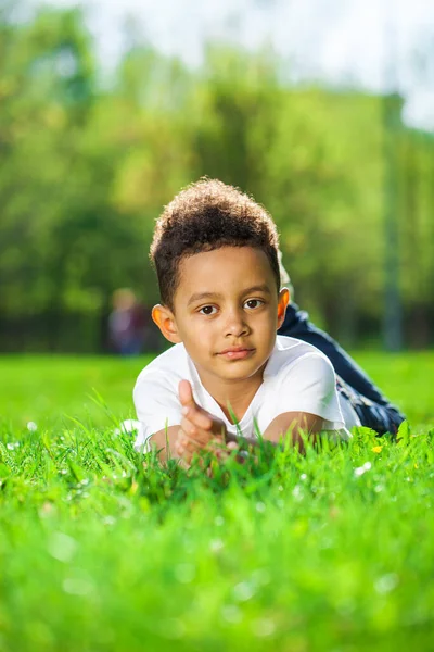 Pět Let Starý Chlapec Leží Zelené Trávě Letním Parku — Stock fotografie