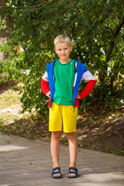 Close Portrait Little Boy Summer Park — Stock Photo, Image