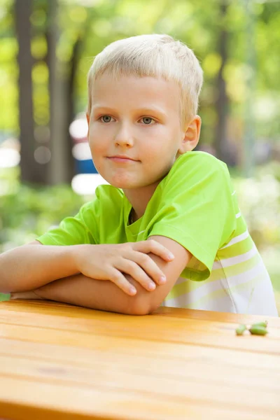 夏の公園で小さな男の子のクローズアップ肖像画 — ストック写真