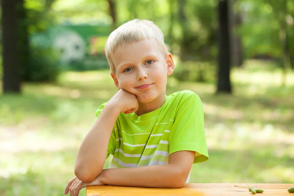 Close Portrait Little Boy Summer Park — Stock Photo, Image