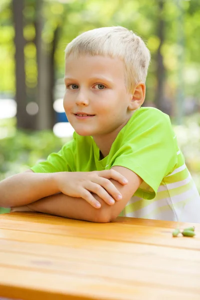 Close Portrait Little Boy Summer Park — Stock Photo, Image