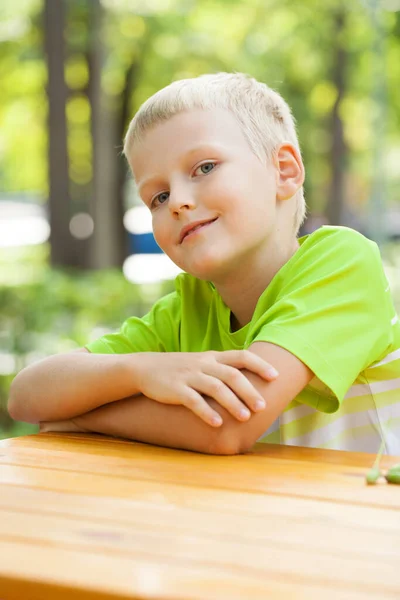 Nahaufnahme Porträt Eines Kleinen Jungen Einem Sommerpark — Stockfoto