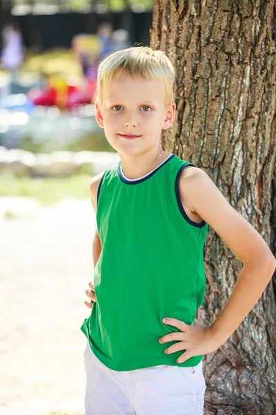 Close Portret Van Een Jongetje Een Zomerpark — Stockfoto