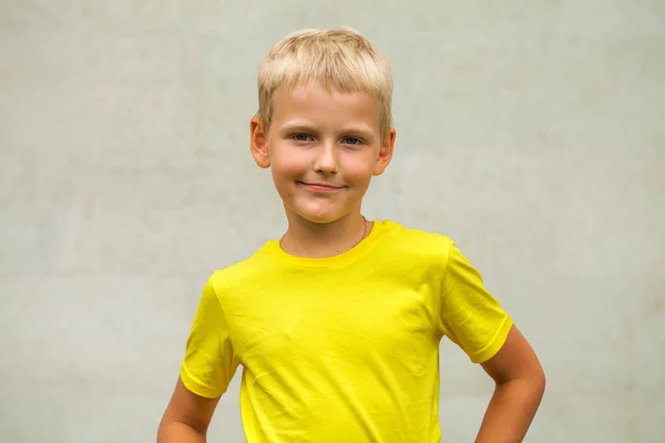 Close Portret Van Een Jongetje Een Zomerpark — Stockfoto