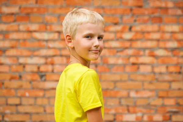 Nahaufnahme Porträt Eines Kleinen Jungen Einem Sommerpark — Stockfoto