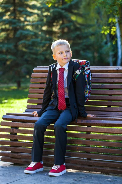 Estudiante Primer Grado Retrato Joven Guapo Con Uniforme Escolar —  Fotos de Stock