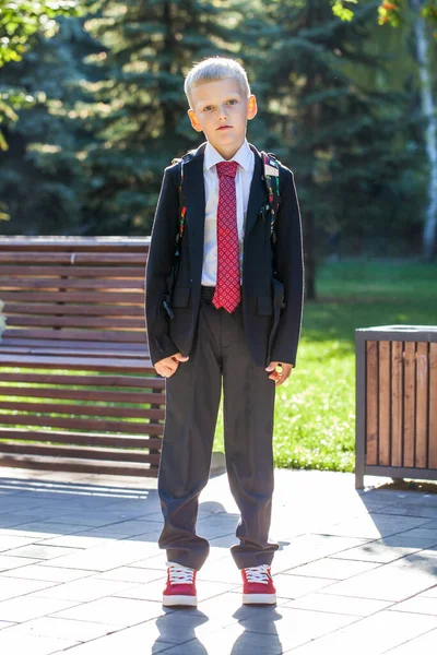 Erstklässler Porträt Eines Hübschen Jungen Schuluniform — Stockfoto